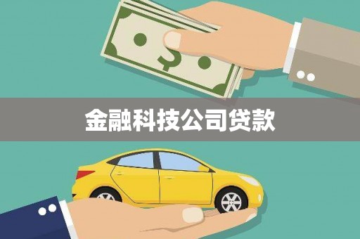 布拖金融科技公司贷款