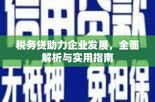 比如税务贷助力企业发展，全面解析与实用指南