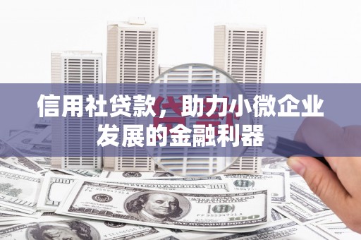 龙湖信用社贷款，助力小微企业发展的金融利器