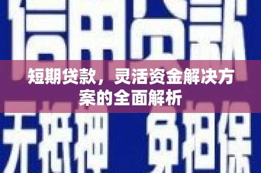 理塘短期贷款，灵活资金解决方案的全面解析