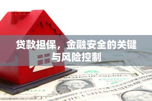 铜官山贷款担保，金融安全的关键与风险控制