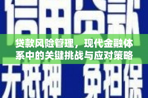 从江贷款风险管理，现代金融体系中的关键挑战与应对策略