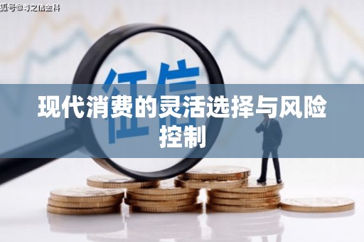 长兴现代消费的灵活选择与风险控制