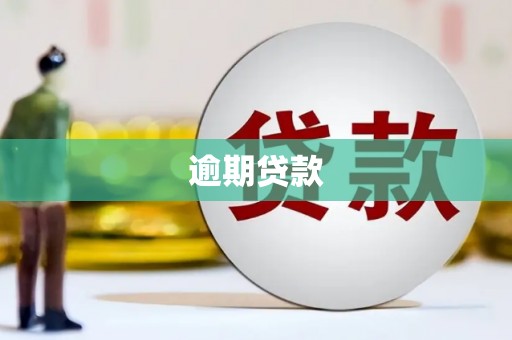 南丰逾期贷款