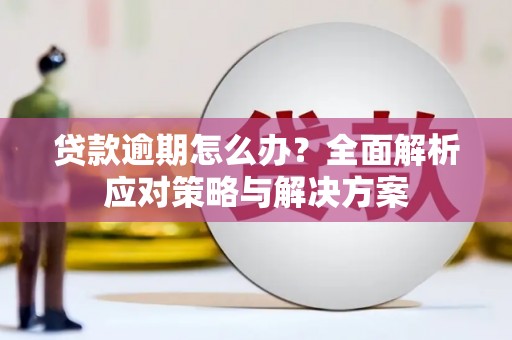 遵化贷款逾期怎么办？全面解析应对策略与解决方案