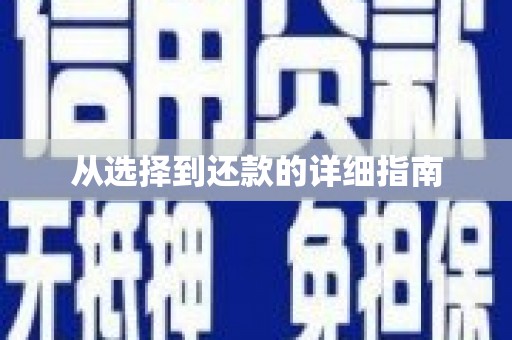 广河从选择到还款的详细指南