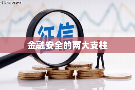 九台金融安全的两大支柱