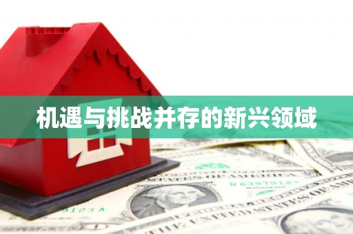 陆丰机遇与挑战并存的新兴领域