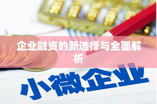 阆中企业融资的新选择与全面解析