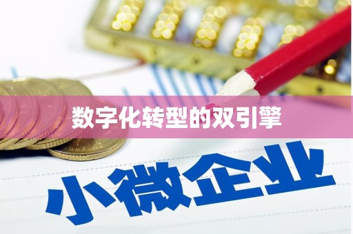 天祝数字化转型的双引擎