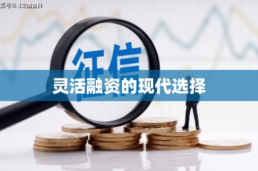 公安灵活融资的现代选择