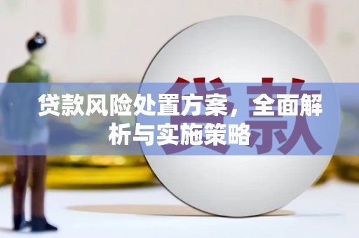 双台子贷款风险处置方案，全面解析与实施策略