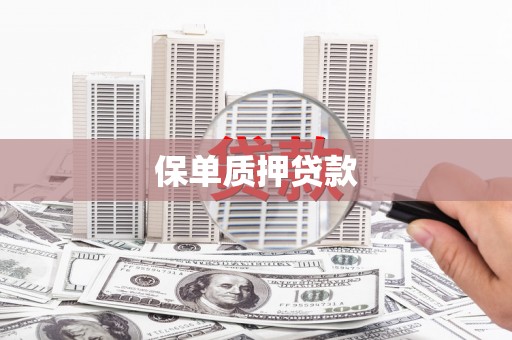 浮梁保单质押贷款