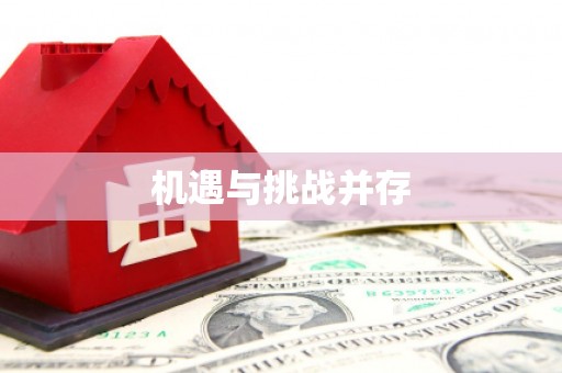 宝兴机遇与挑战并存