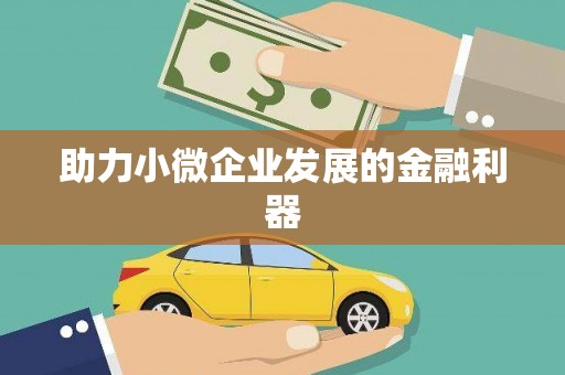 定远助力小微企业发展的金融利器