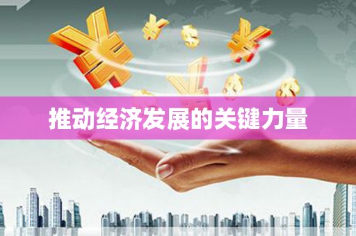 稻城推动经济发展的关键力量