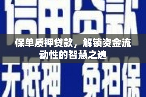 永新保单质押贷款，解锁资金流动性的智慧之选